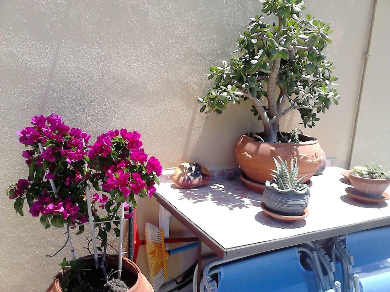 Park House -Beside The Medieval Town Of Rhodes Rhodes City Екстериор снимка